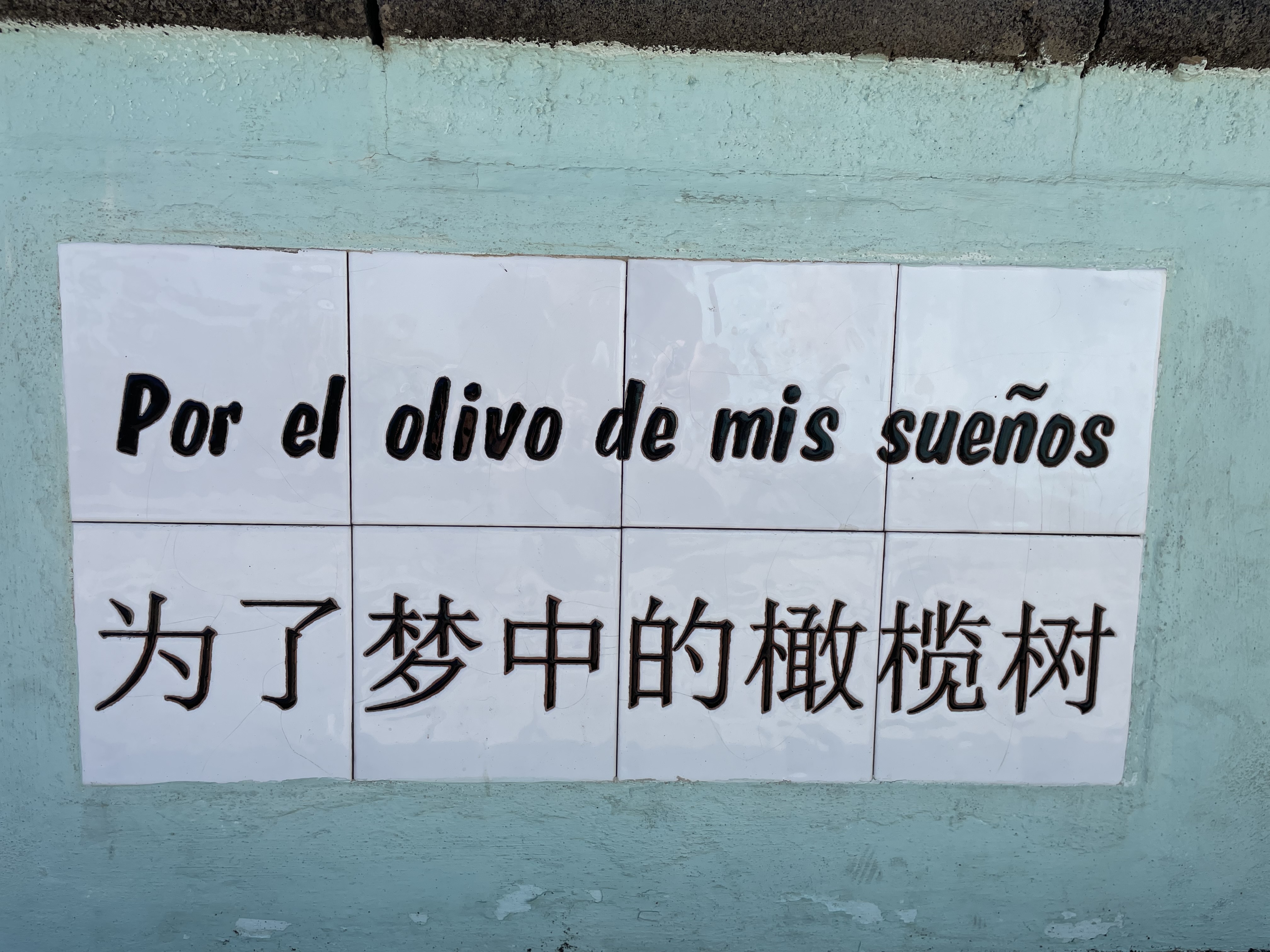 为了梦中的橄榄树 瓷砖题字